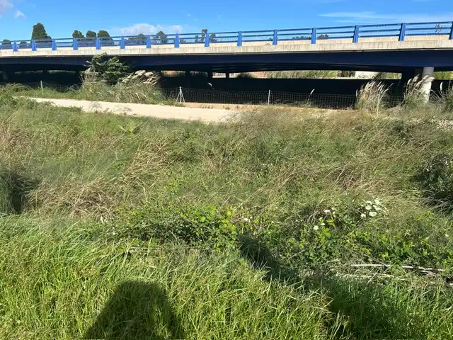 Rural land for sale in Sueca ciudad, imagen 6