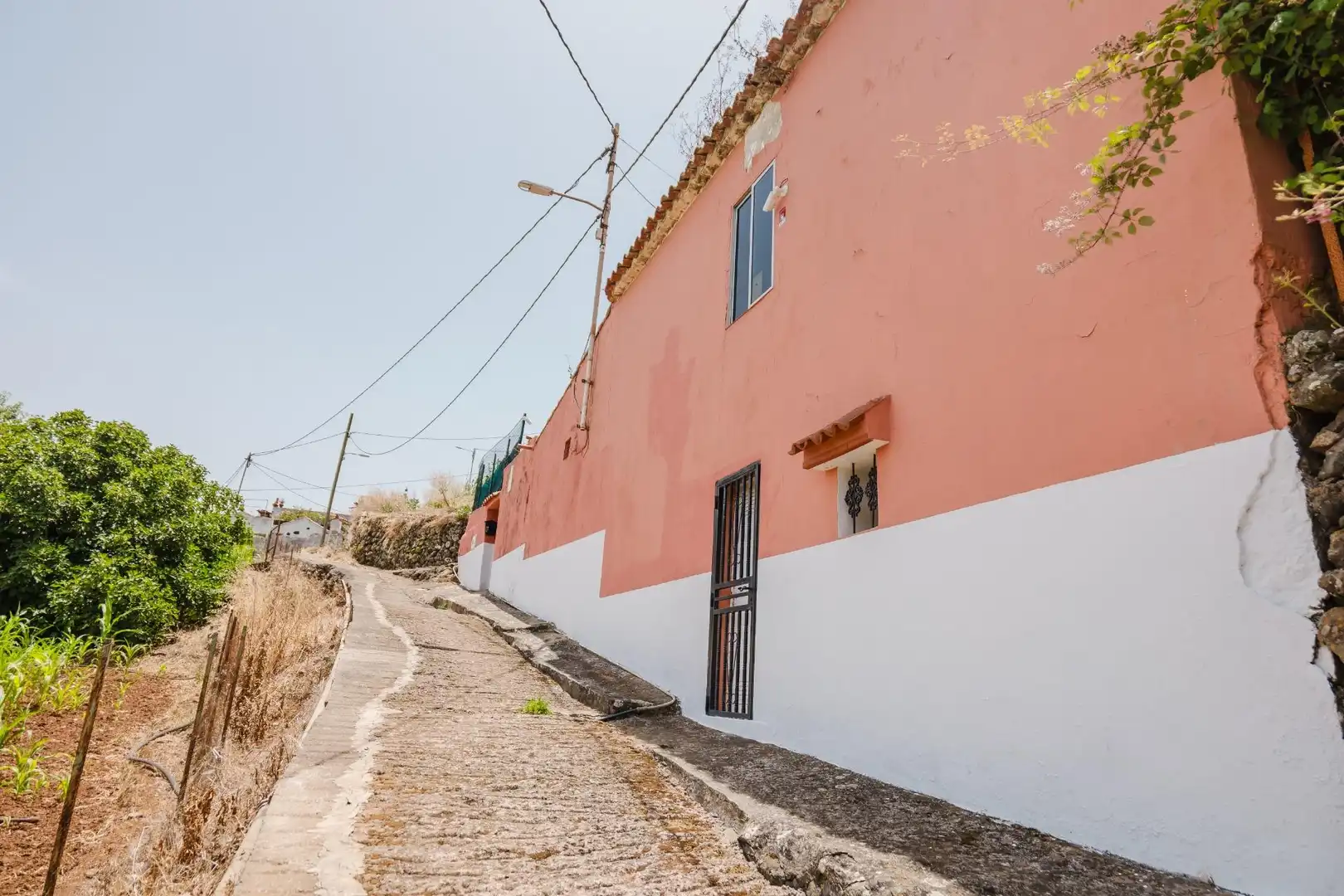 Vista exterior de Casa o chalet en venta en Teror con Jardín privado y Terraza