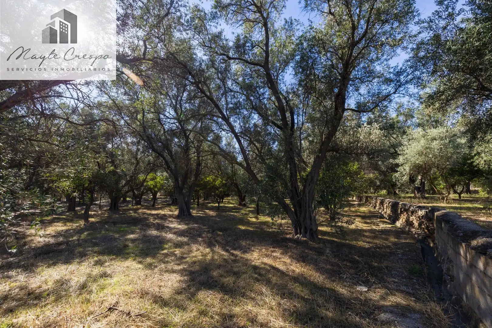 Terreno rustico in vendita a Lecrín, imagen 17