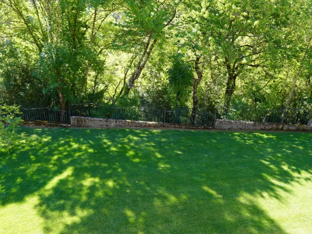 Garden of Houses for sale in Bielsa, Huesca