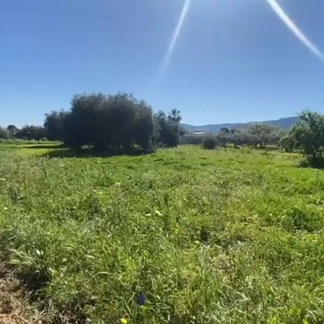 Terreno rustico in vendita a Alquería - Torrealquería, imagen 4