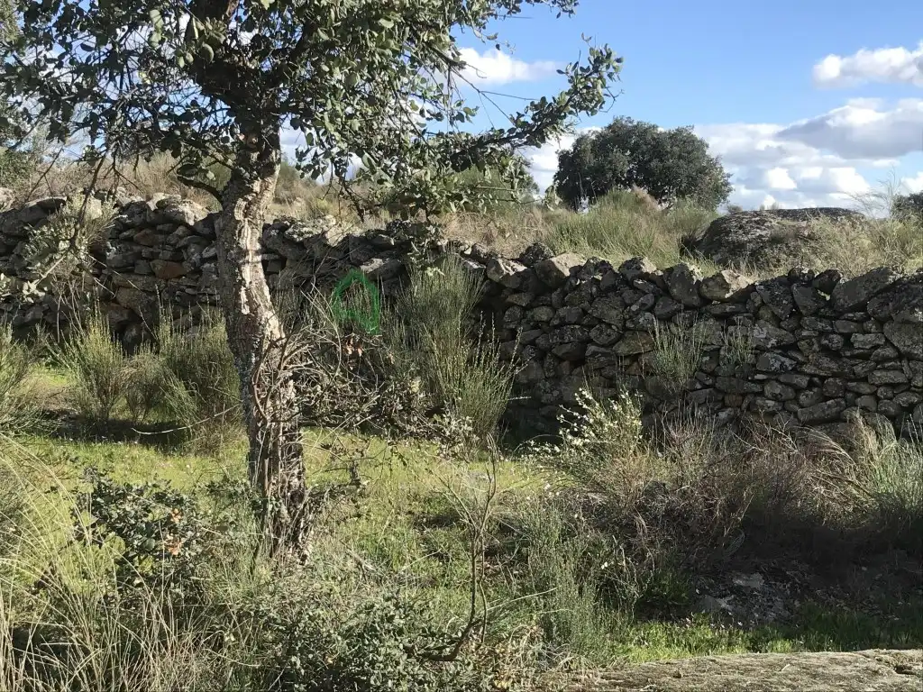 Casa en venta en San Vicente de Alcántara, imagen 9
