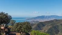 Exterior view of House or chalet for sale in Málaga Capital  with Terrace