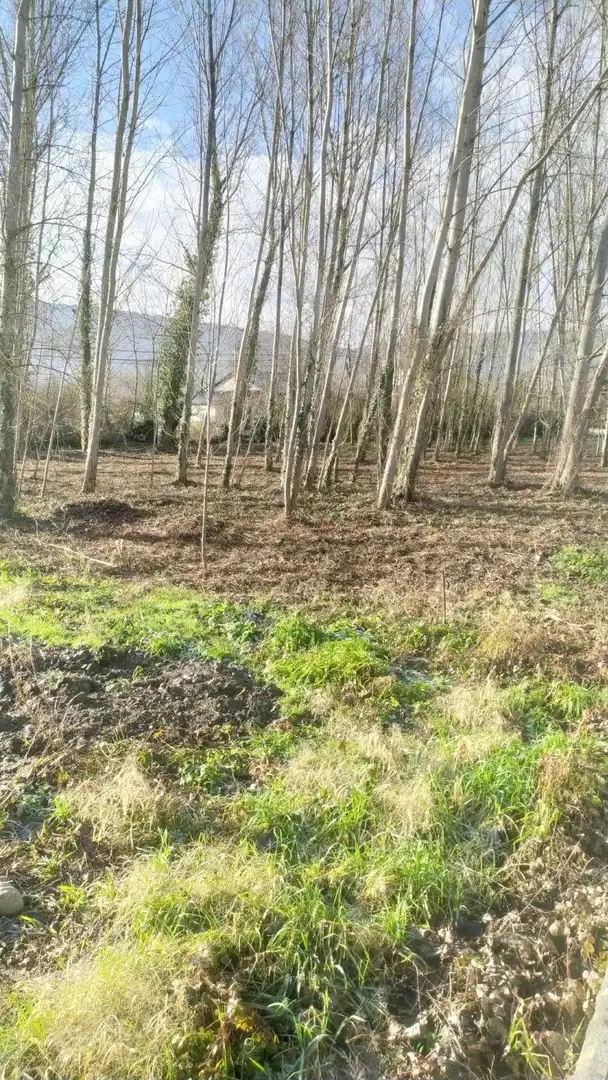 Terreni e lotti in vendita a Flores de Sil - La Placa, imagen 6
