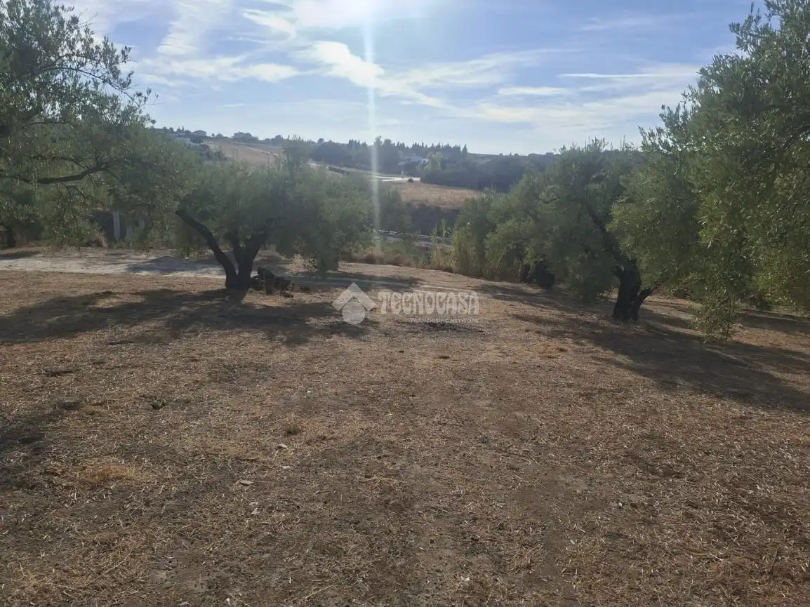 Terreny en venda en Montilla, Córdoba