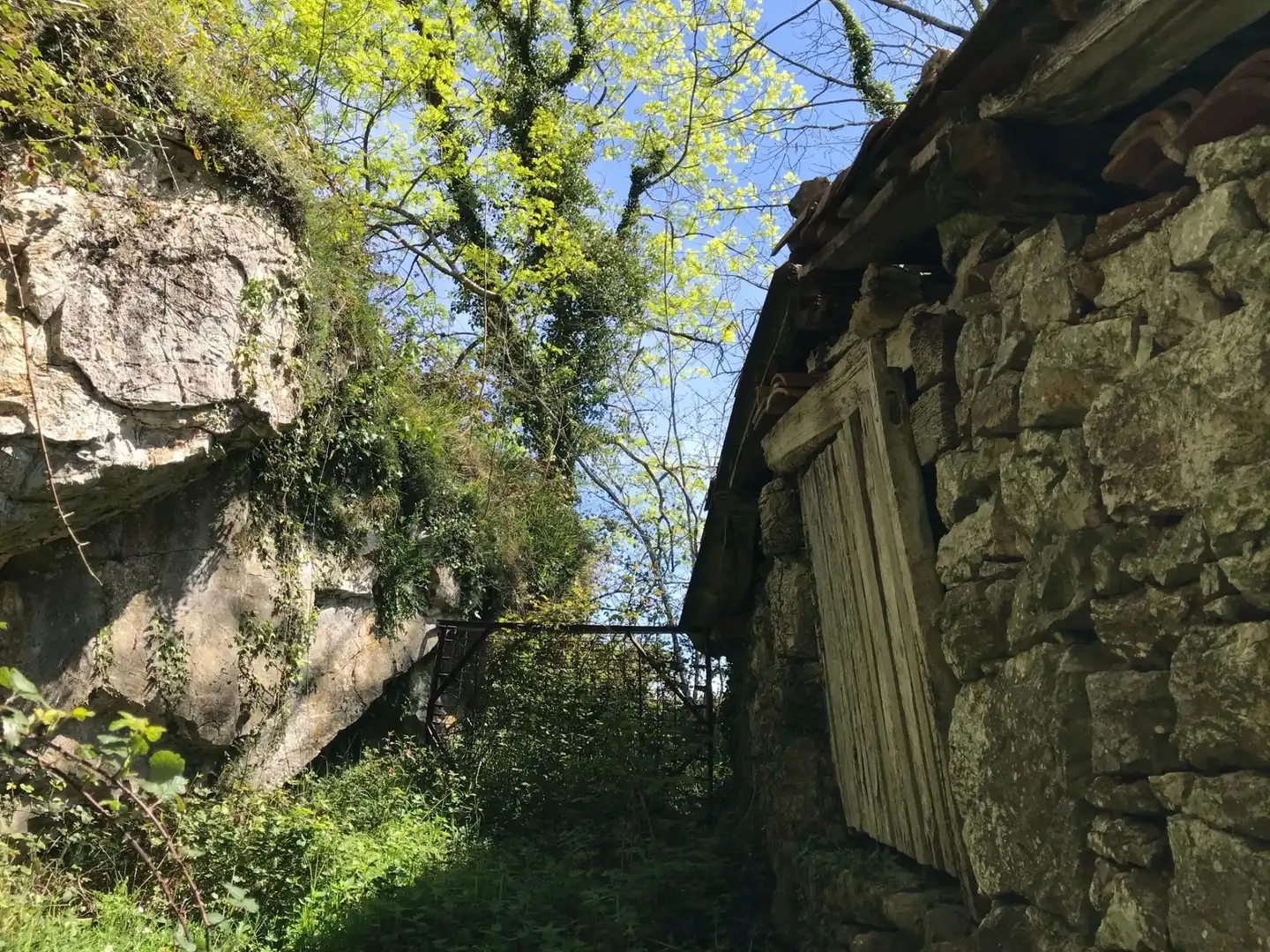 Terreno rustico in vendita a Cangas de Onís, imagen 8