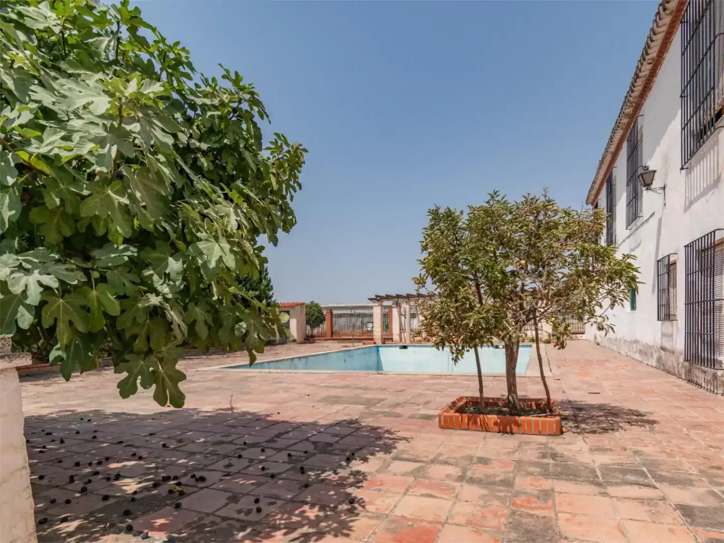Piscina de Piso en venta en Granada con Jardín privado y Piscina
