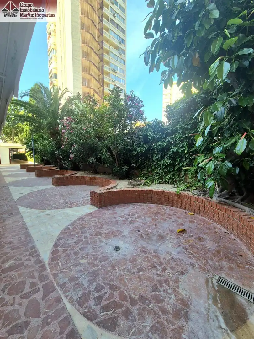 Studio à vendre à Playa de Levante, imagen 13