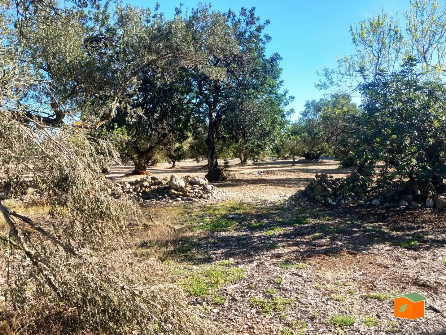 Terreno rustico in vendita a Mas de Barberans, imagen 18