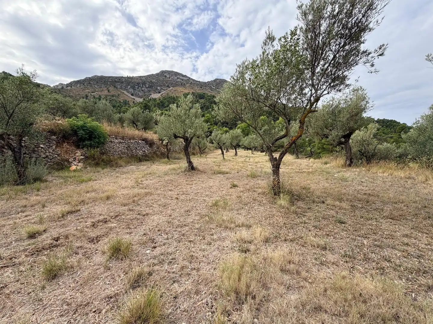 Residencial en venta en Fageca, Alicante