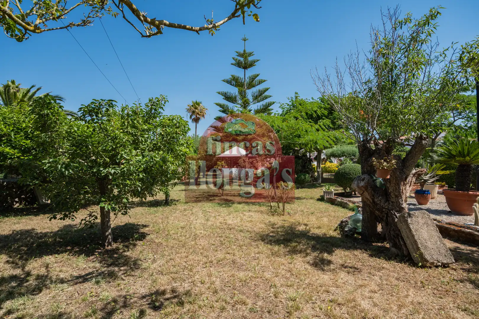 Detached house with pool for sale in Alaior poble, imagen 17