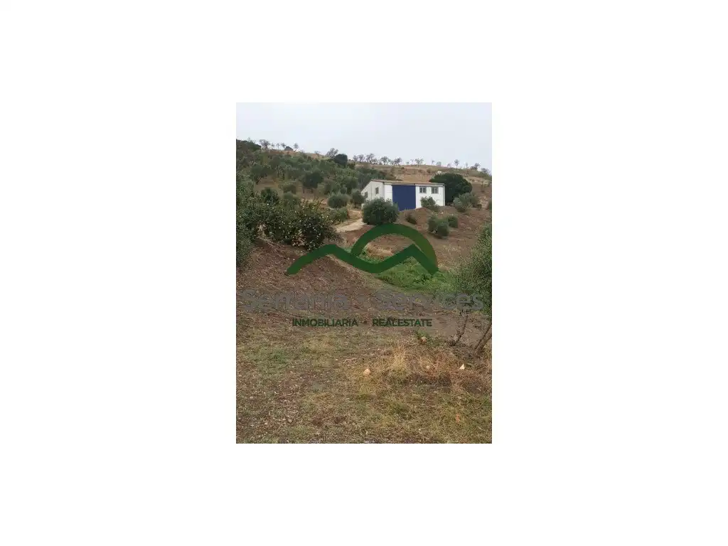 Maison rustique à vendre à El Gastor, imagen 4