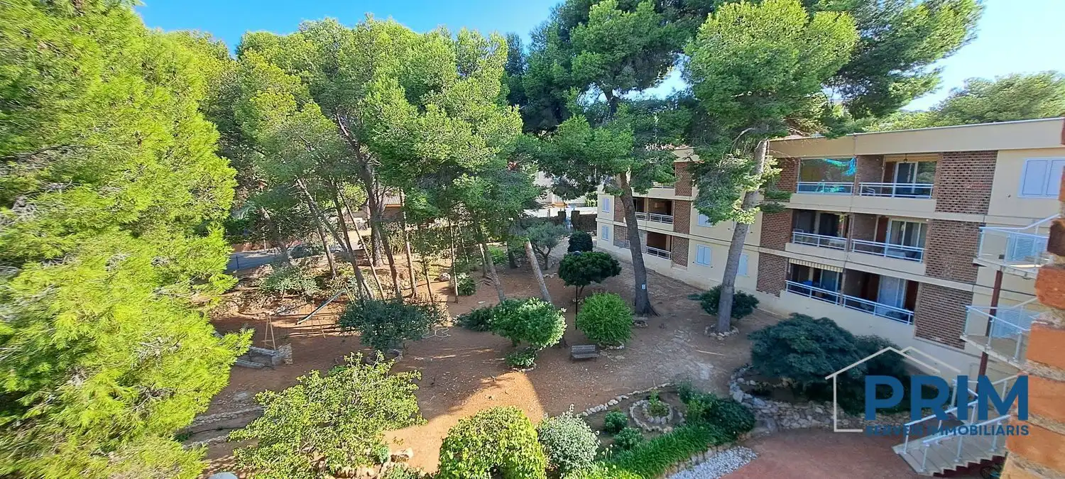 Appartement avec ascenseur à vendre à Calle del Pla de l'Era, imagen 3