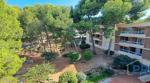 Foto 3 de Piso en venta en Calle del Pla de L'era, Pla de Maset - Cap de Salou, Salou