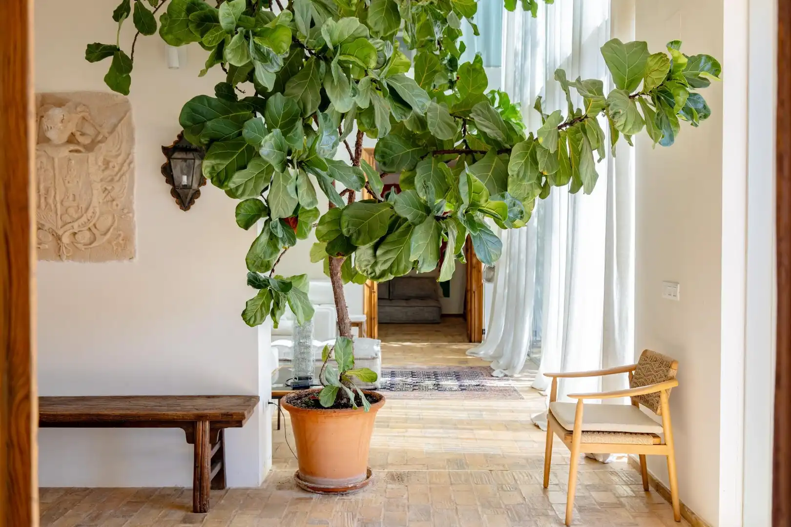 Villa con terrazza in vendita a Calle TORTOLA LA-G.DEL MAR, imagen 43