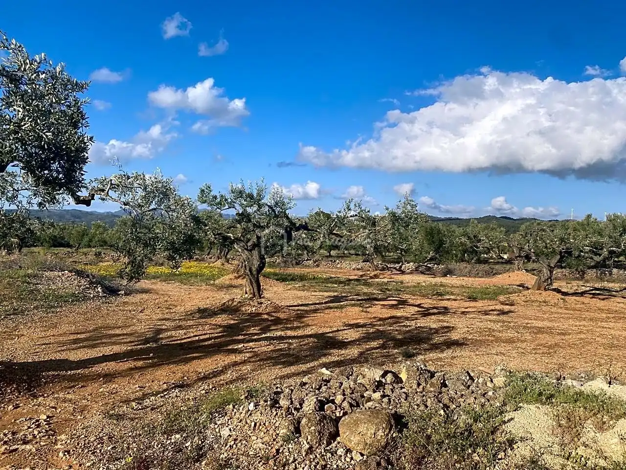 Terreno rustico in vendita a Burgà, imagen 11