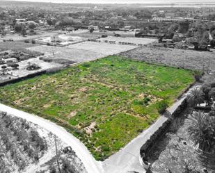 Land for sale in Elche / Elx