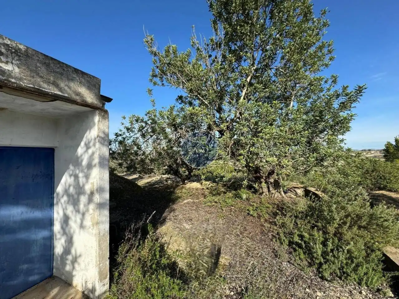 Chalet con jardín en venta en El Palomar, imagen 19