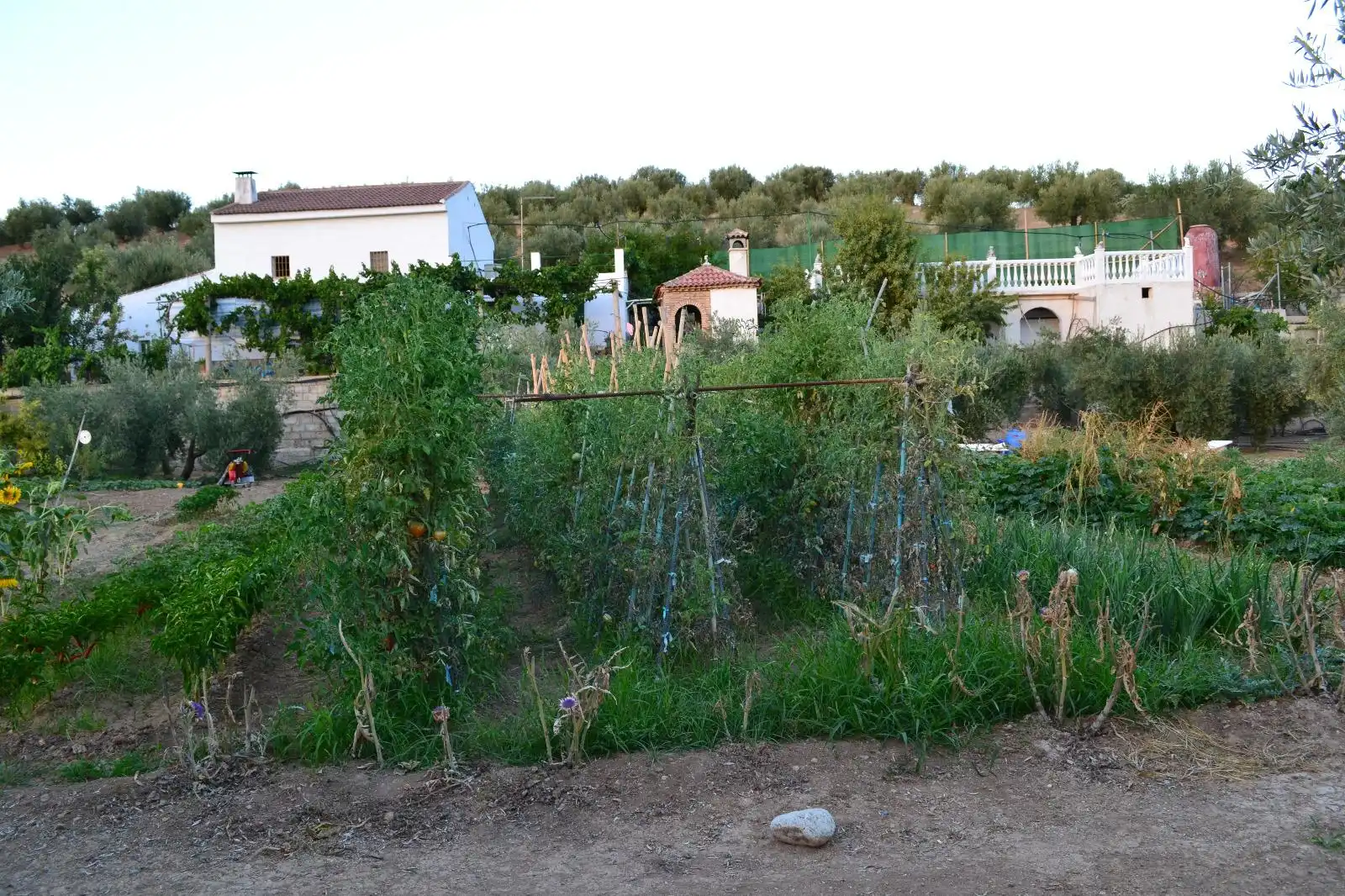 Xalet en venda a Alcaudete, imagen 4