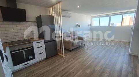 Foto 3 de Estudio de alquiler en Avenida Paris, Rincón Alto, Benidorm