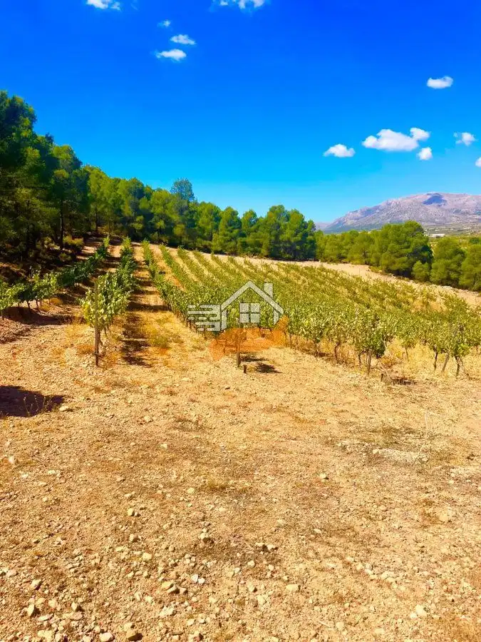 Country house for sale in Vélez-Rubio, imagen 23