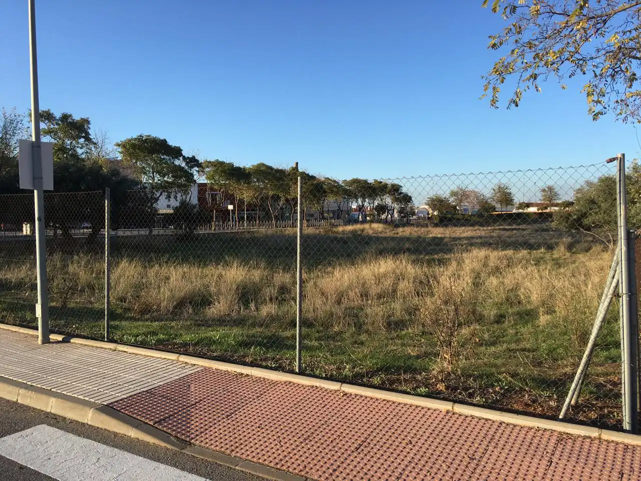 Lands and plots for sale in Poeta Muñoz Rojas, imagen 20
