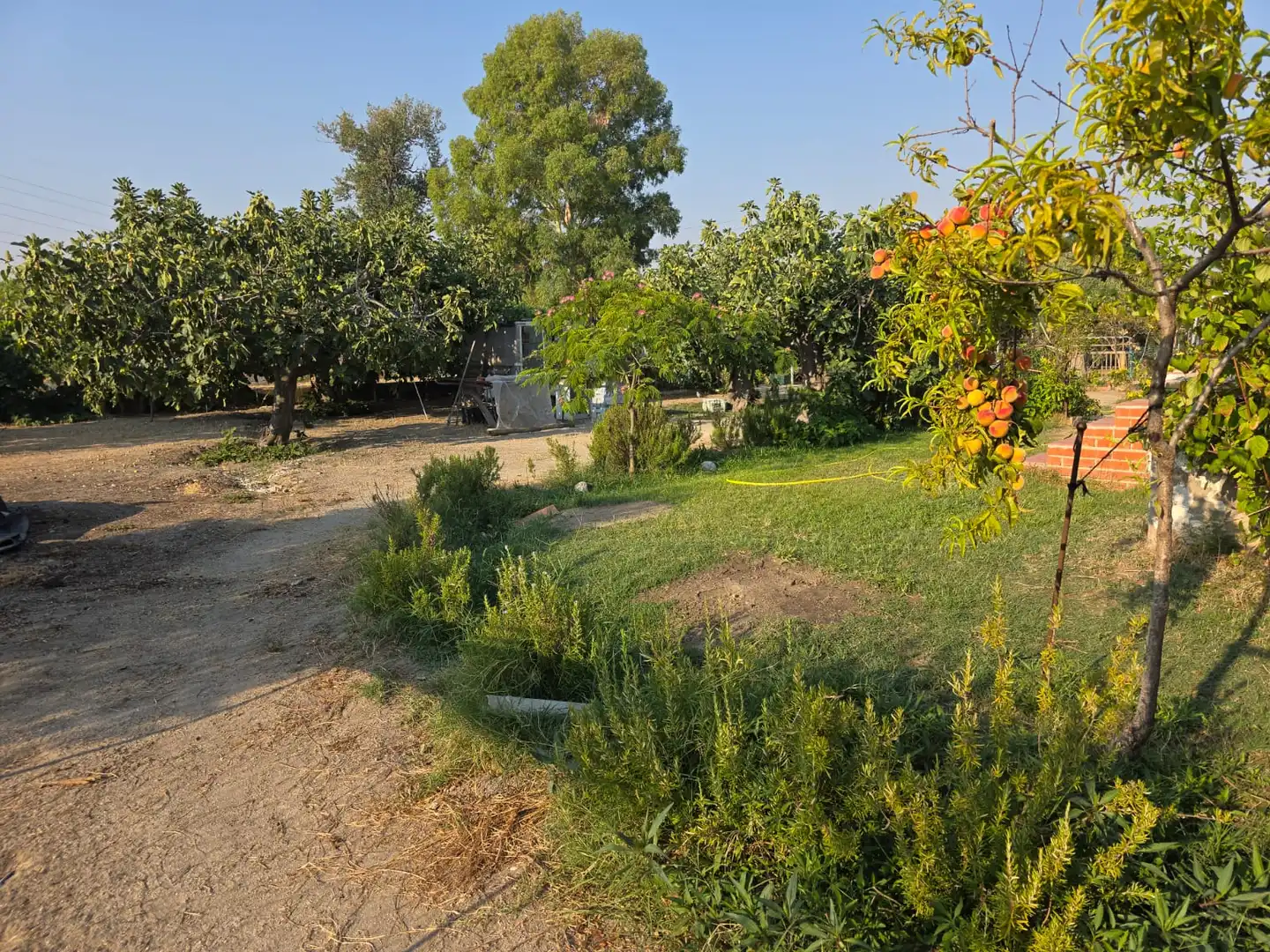 Finca rústica en venda en Talavera de la Reina amb Jardí privat