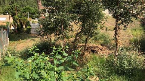 Foto 5 de Residencial en venta en Mas Mora - Sant Daniel, Tordera