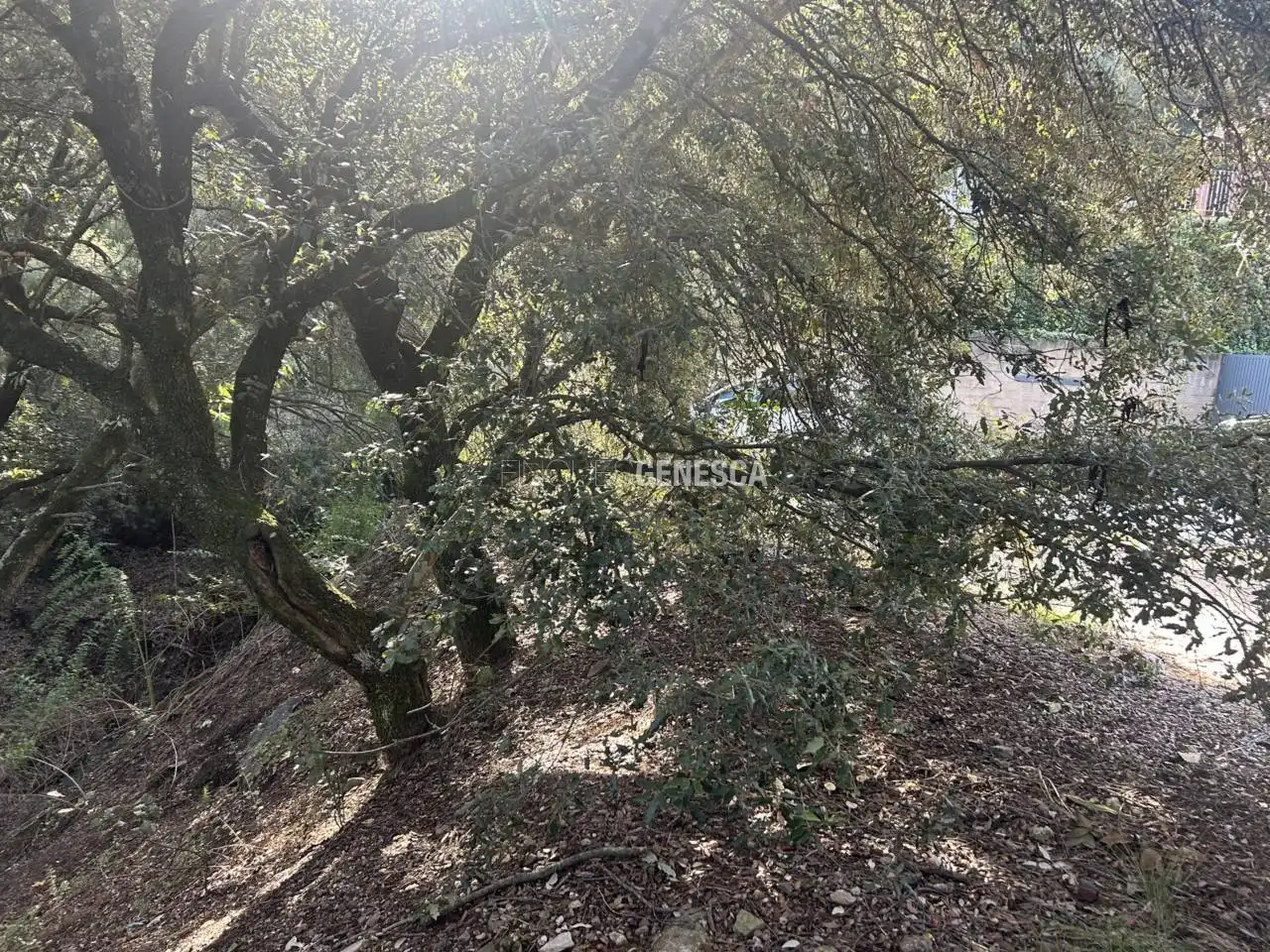 Wohnbaugrundstück zum Verkauf in Calle Notalena 11, imagen 14