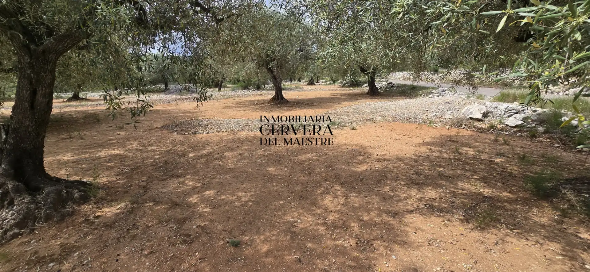 Terreno rustico in vendita a Cervera del Maestre, imagen 12