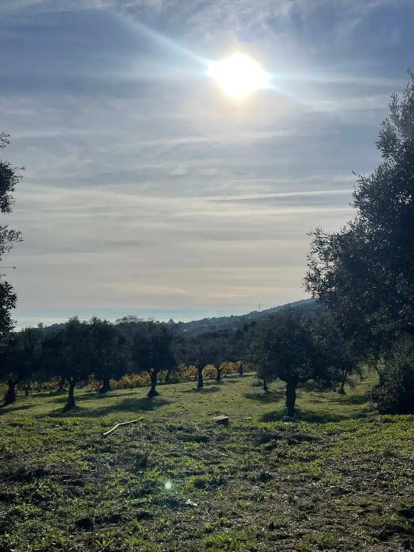 Casa o chalet en venta en Plasencia con Jardín privado y Amueblado