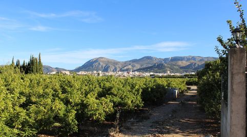 Foto 3 de Finca rústica de alquiler en Pego, Alicante