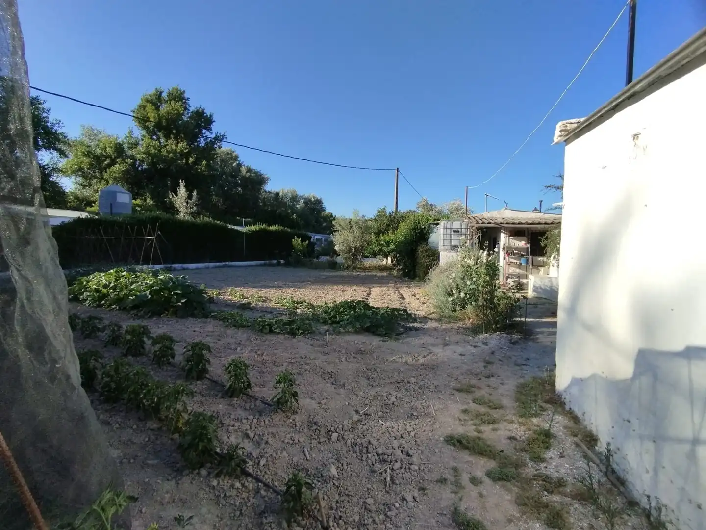 Terreno rustico in vendita a Calle Tinte, imagen 11