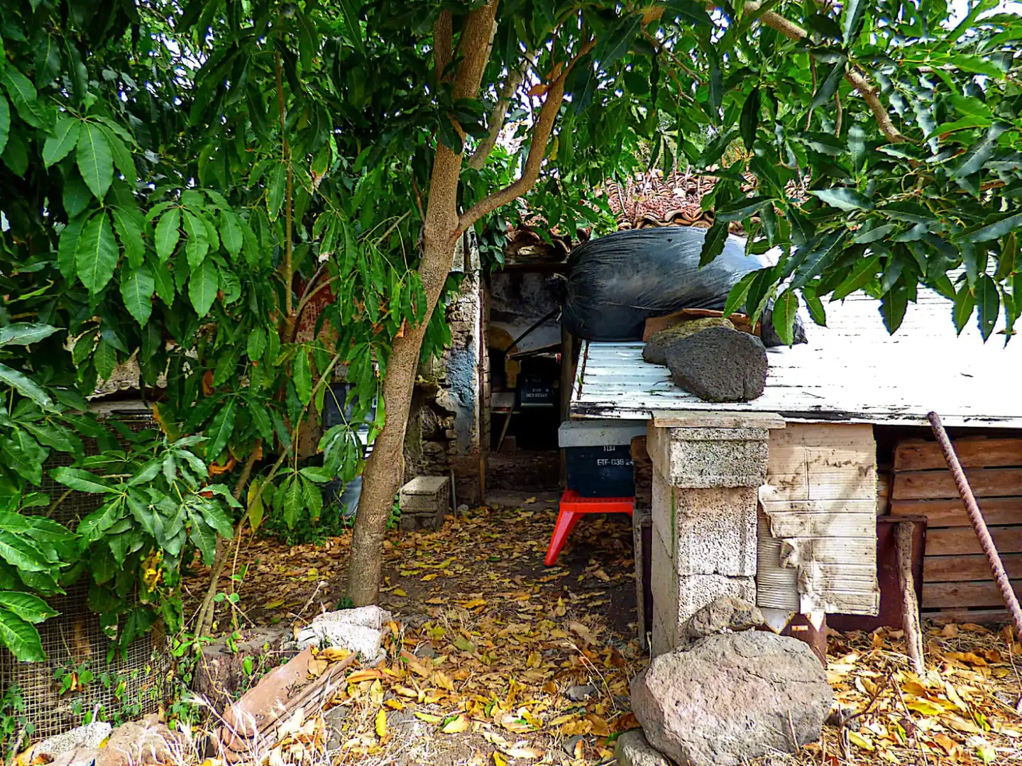 Jardí de Residencial en venda en San Cristóbal de la Laguna