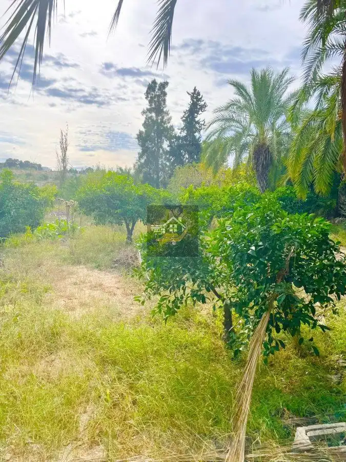 Casa o chalet en venta en Molina de Segura con Terraza