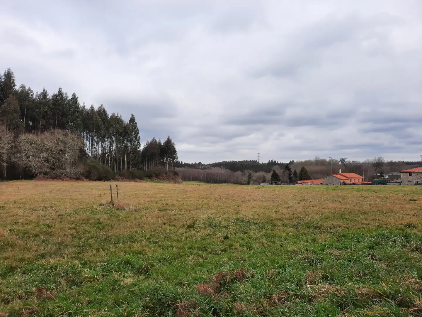 Wohnbaugrundstück zum Verkauf in Curtis, imagen 6