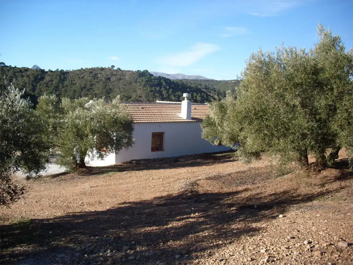 Vista exterior de Finca rústica en venta en Jayena, Granada