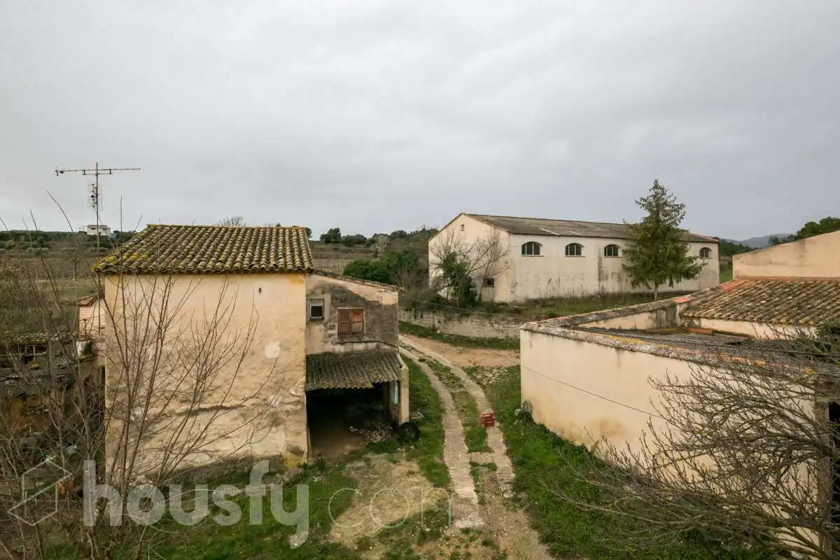 Finca rústica en venda a BO SERRA DE DALT,, Sant Martí Sarroca