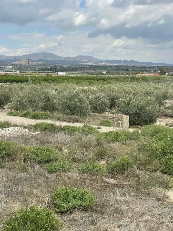 Terrenys i solars en venda a Huércal-Overa, imagen 8