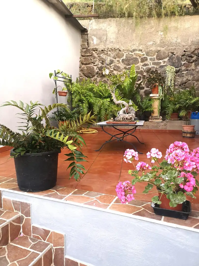 Terraza de Casa o chalet de alquiler en Güímar con Terraza y Amueblado