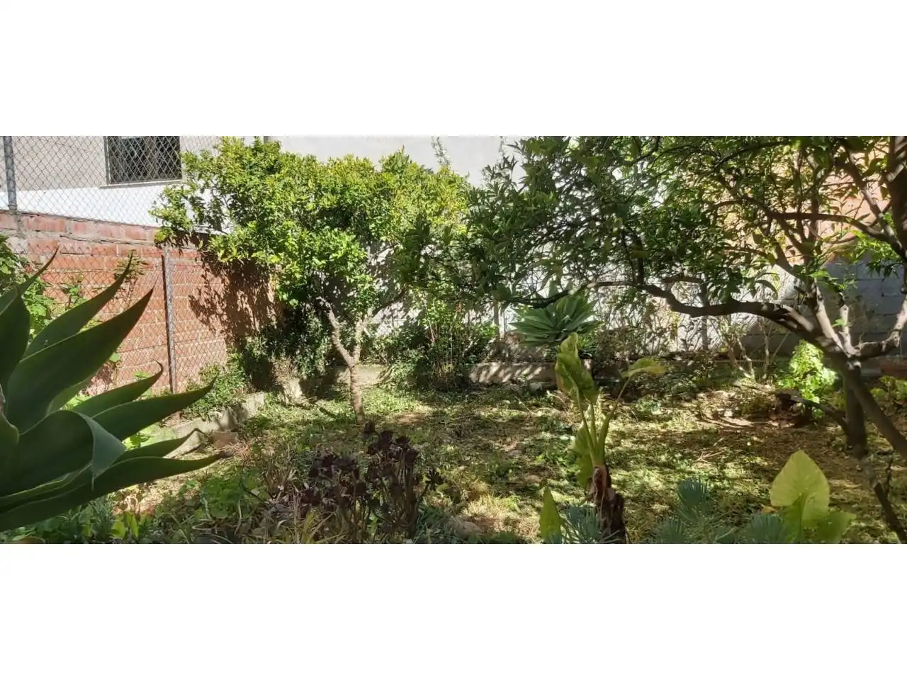 Jardí de Casa o xalet en venda en Alcover amb Jardí privat i Terrassa