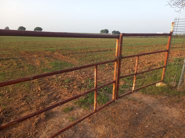 Terreno rustico in vendita a Pedanías Norte