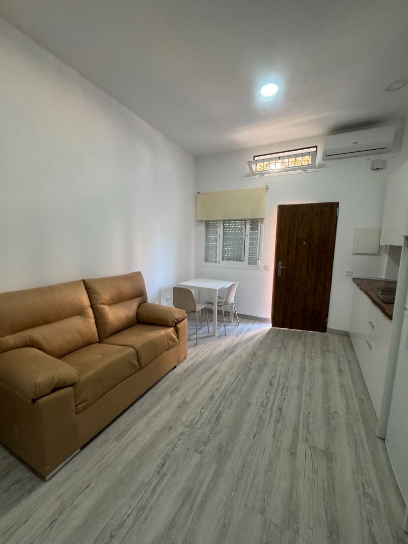 Sala de estar de Loft de alquiler en Málaga Capital con Aire acondicionado, Amueblado y Lavadora