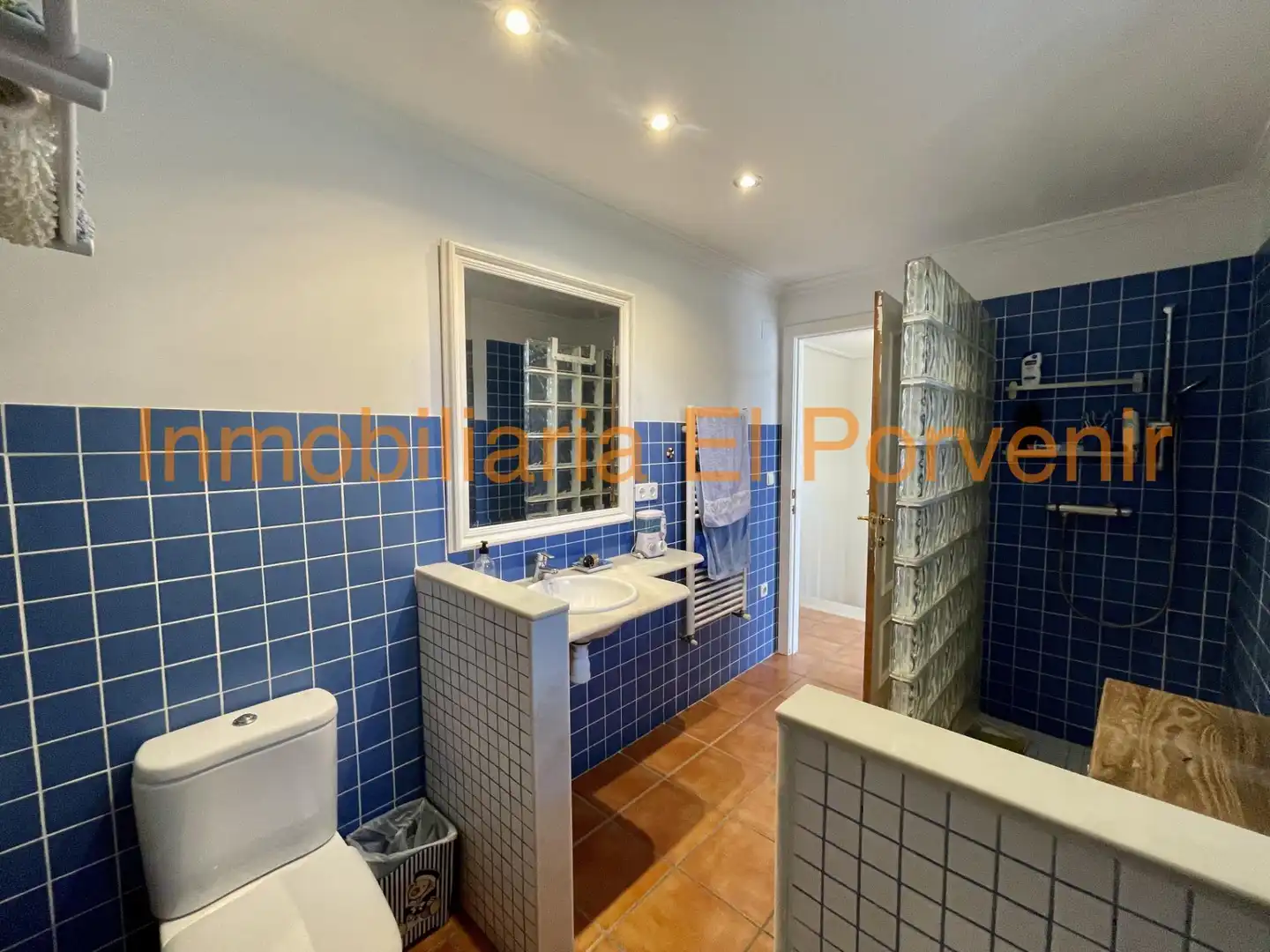 Baño de Casa o chalet en venta en Torrent con Aire acondicionado, Calefacción y Jardín privado
