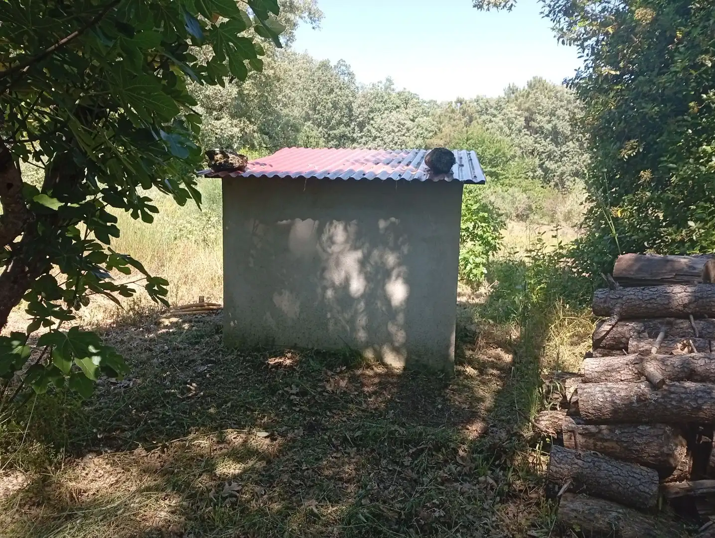 Terreni e lotti in vendita a Villanueva de la Vera, imagen 34