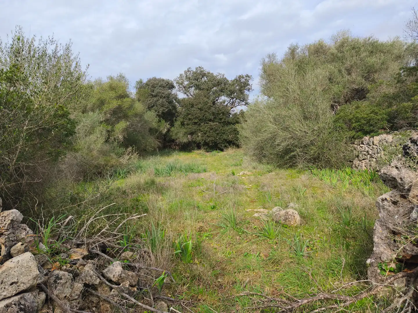 Terreno residencial en venta en Carrer Ruberts 24, imagen 15