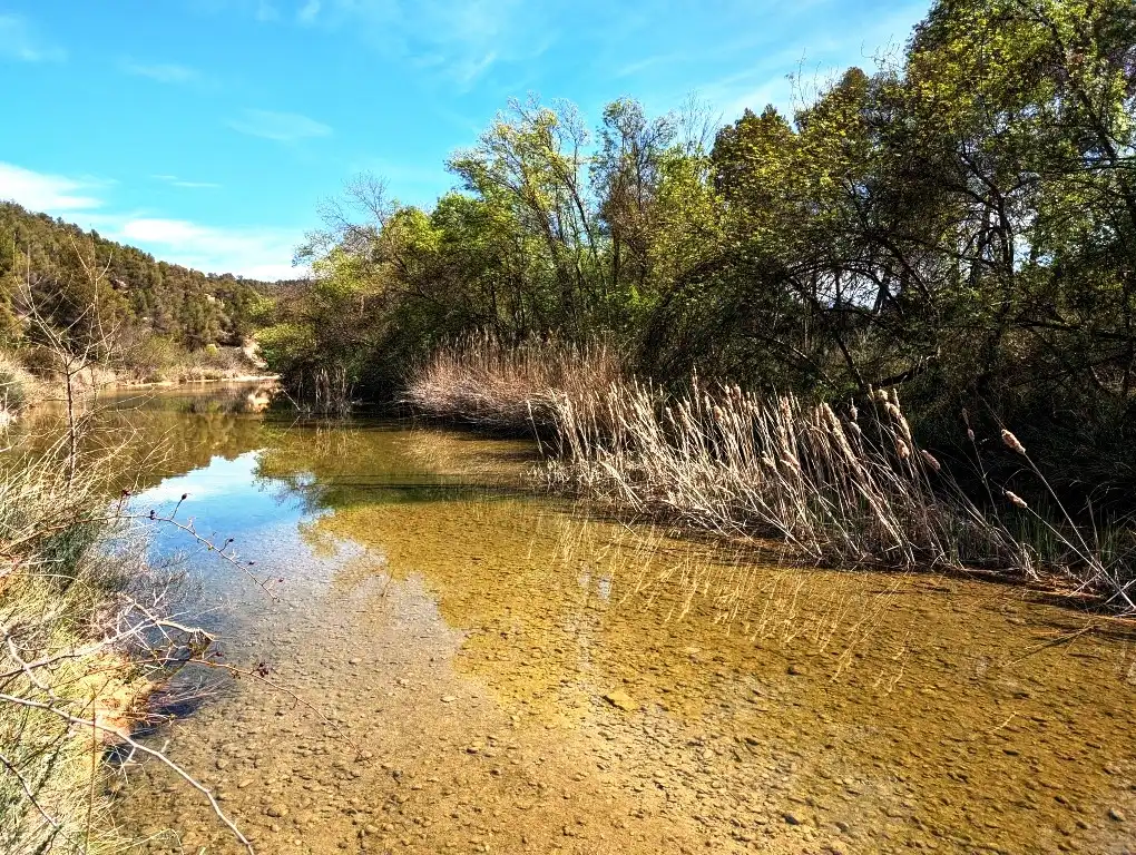 Terreni e lotti in vendita a Arens de Lledó, imagen 15