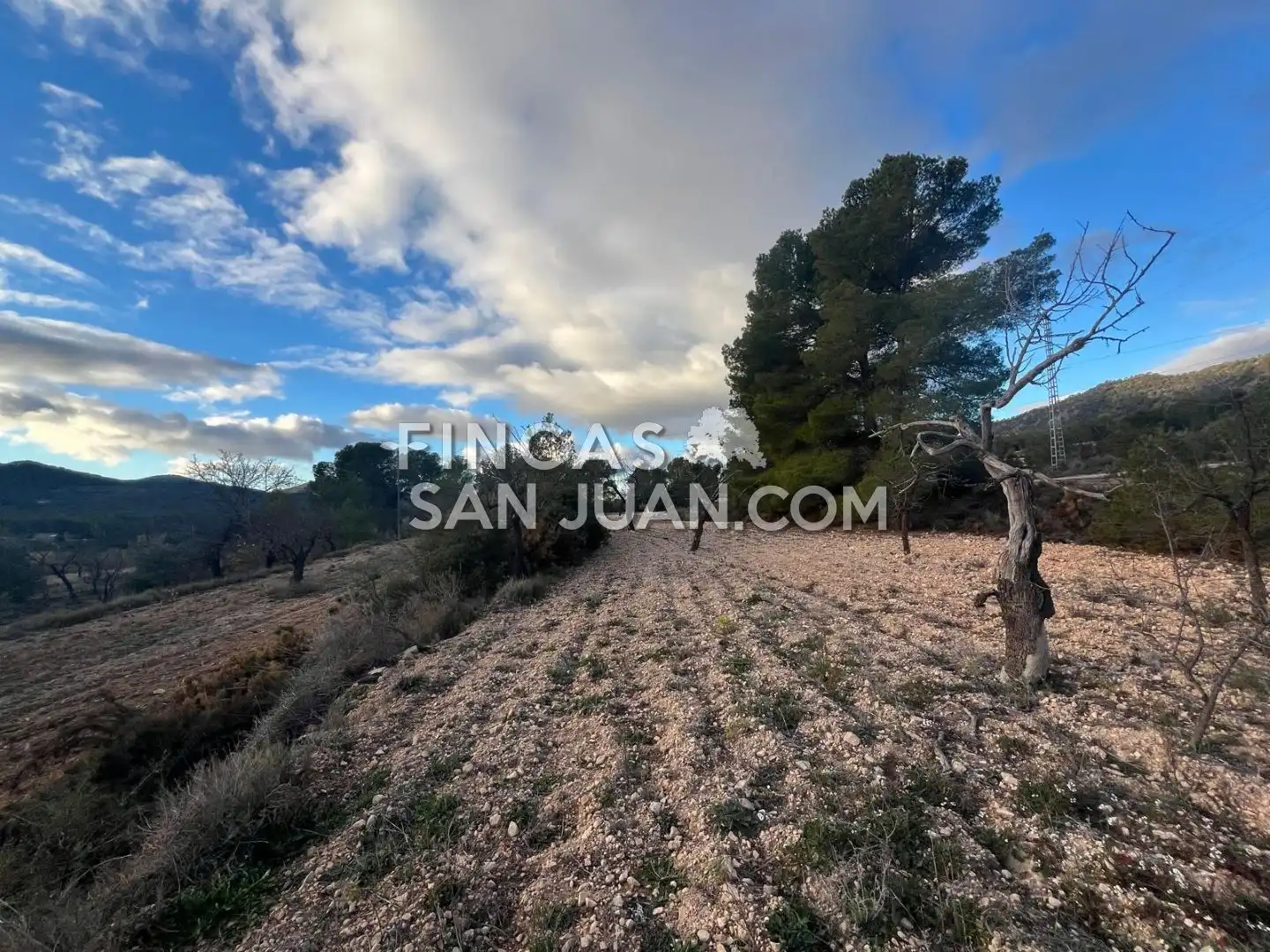 Terreny residencial en venda a Torremanzanas / La Torre de les Maçanes, imagen 7