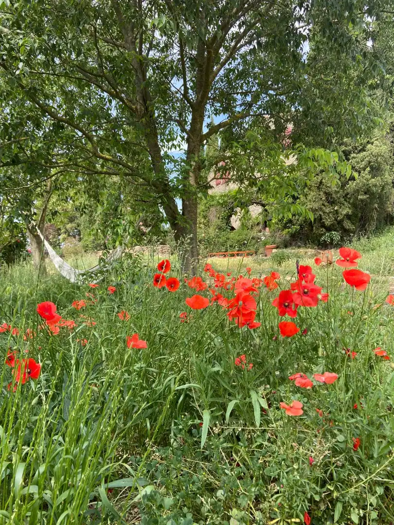 Jardí de Finca rústica en venda en Maià de Montcal amb Aire condicionat, Calefacció i Jardí privat