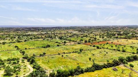 Foto 3 de Residencial en venda a Manacor Centre, Illes Balears